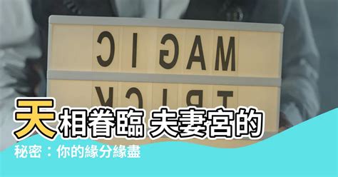 天相夫妻宮離婚|【天相 夫妻宮】天相眷臨 夫妻宮的秘密：你的緣分緣。